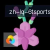 6T体育 logo
