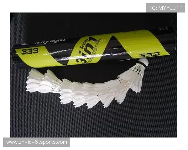 羽毛球用球品牌大全